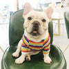 Trendy Brand Dog Clothes Pet Clothes Stretch Cotton
